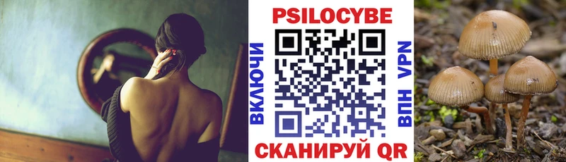 Галлюциногенные грибы Psilocybe  дарнет шоп  Геленджик 